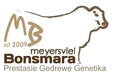 Meyersvlei Bonsmaras
